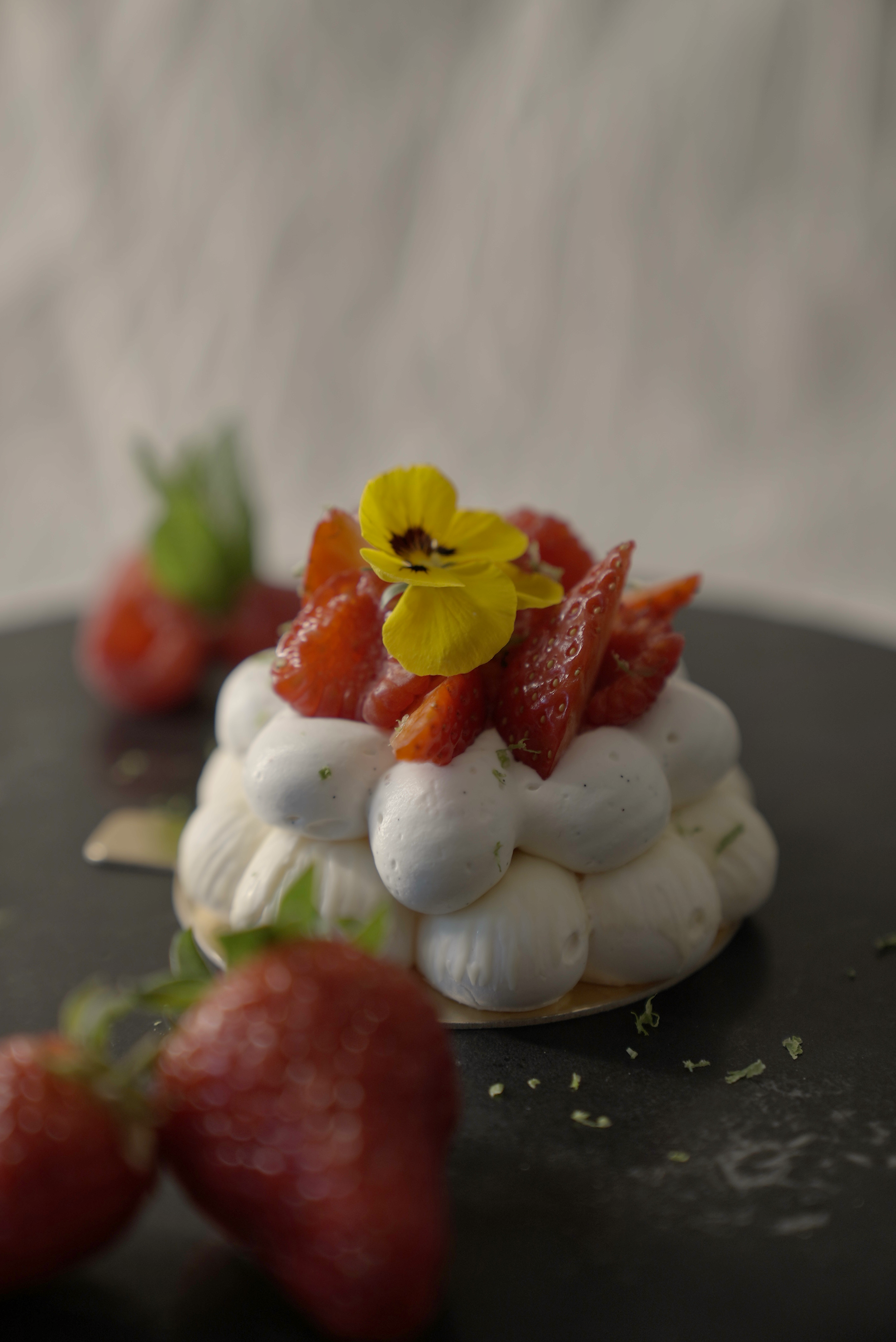 pavlova_solo_02.png