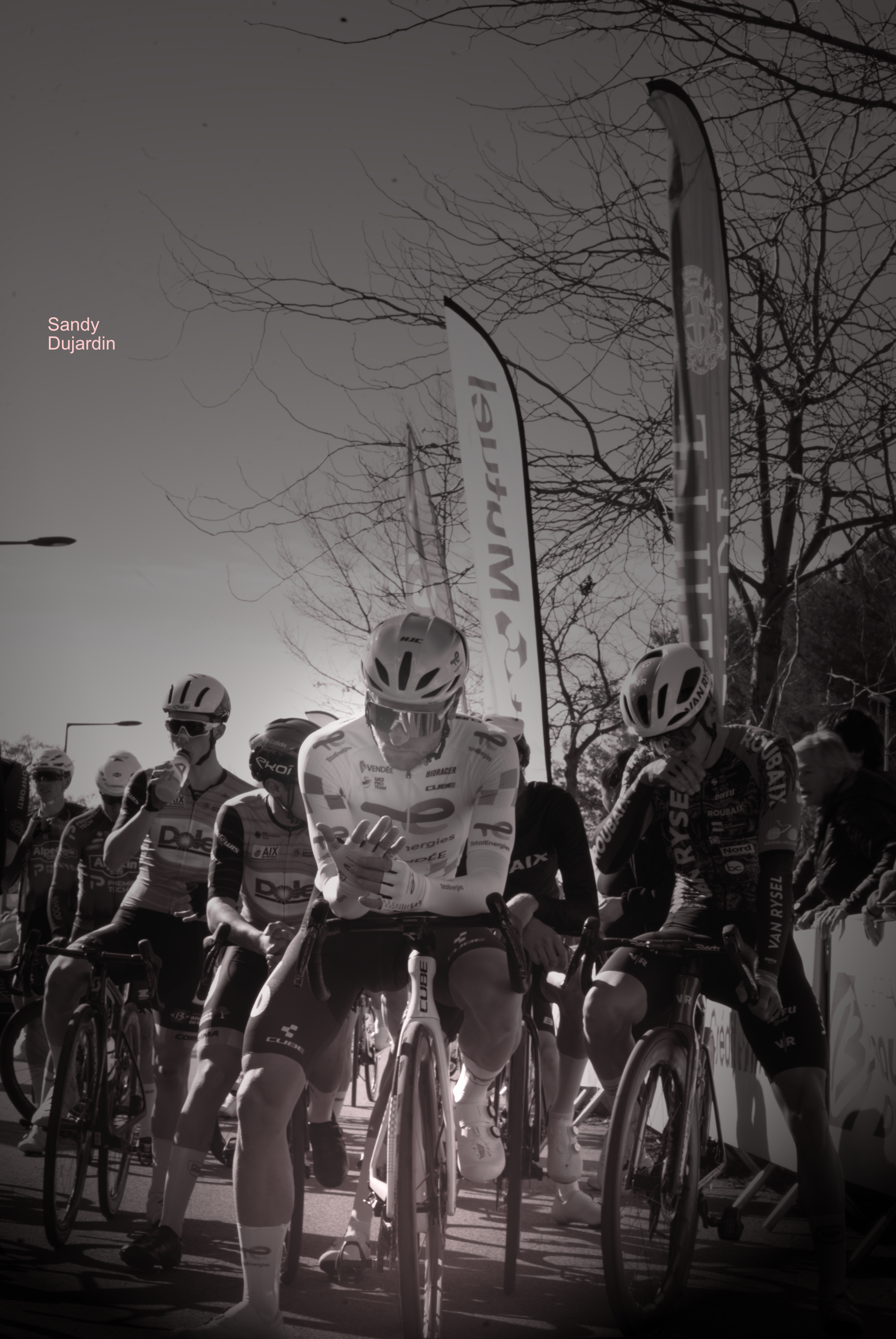 DSC00323.png